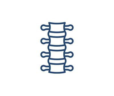 drawn diagram of a spine in blue and white colours